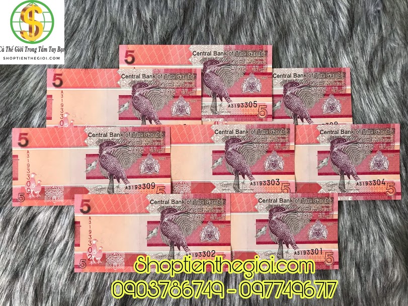 Gambia 5 Dalasis 2019 UNC